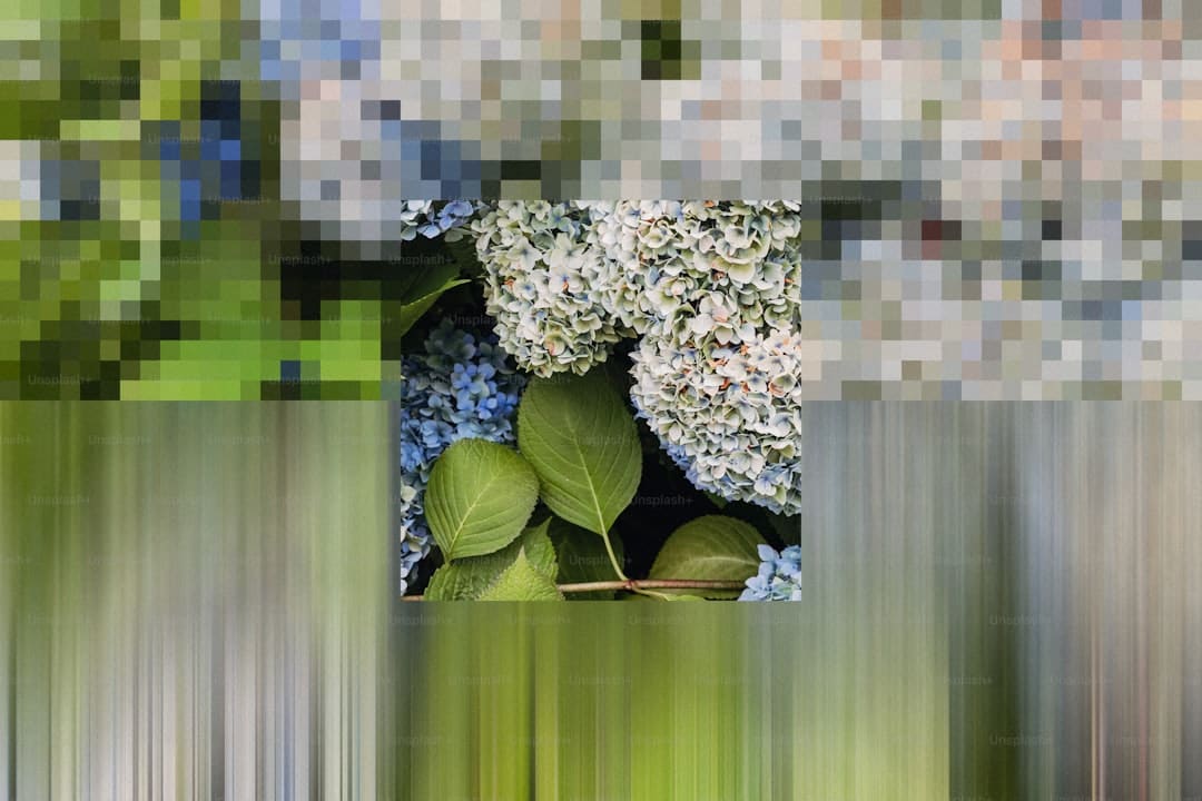 陶晶莹谈吴宗宪说小S没家教争议：是忘掉他曾骂过